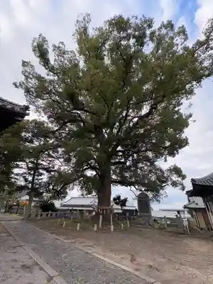白峰宮(香川県)
