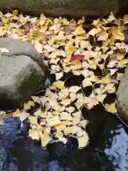 師岡熊野神社(神奈川県)