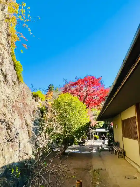 浄智寺(神奈川県)