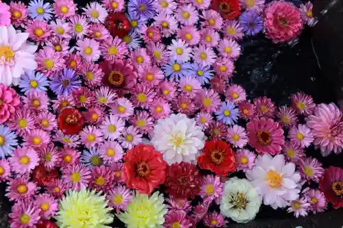 大鏑神社の手水舎