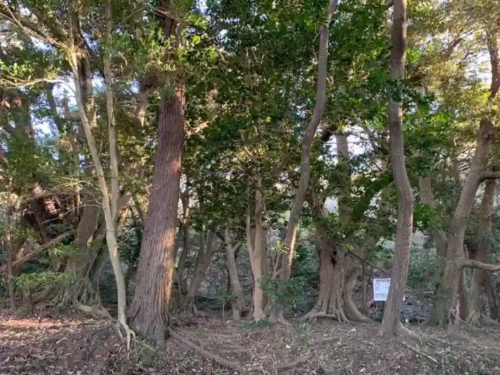 建市神社奥の院の自然
