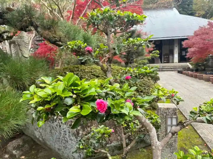 伊勢の国 四天王寺(三重県)