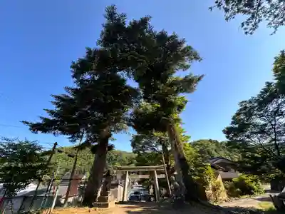 小江神社(兵庫県)
