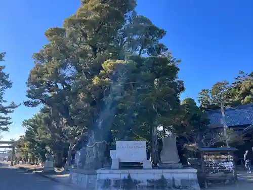 鶴谷八幡宮(千葉県)