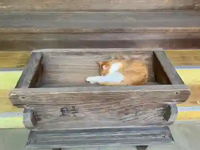 真野寺(千葉県)