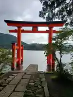 箱根神社の鳥居