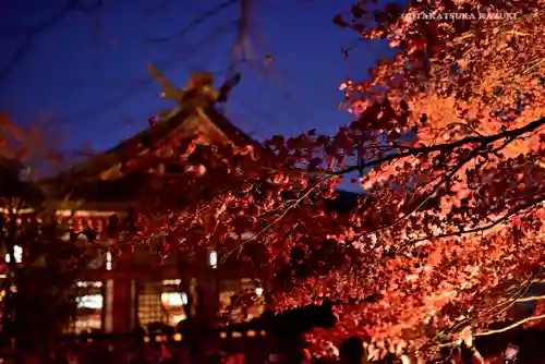 大山阿夫利神社の自然