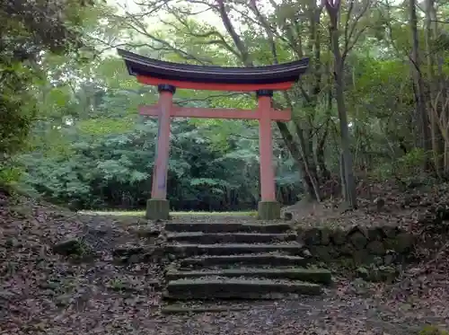 宇佐神宮の鳥居