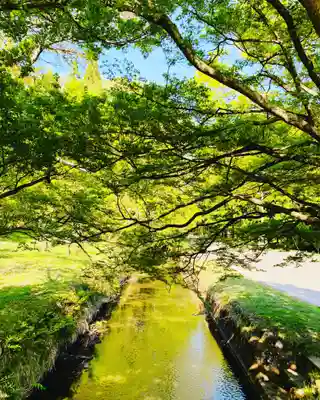 土津神社｜こどもと出世の神さまの周辺