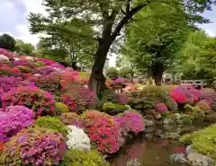 根津神社(東京都)