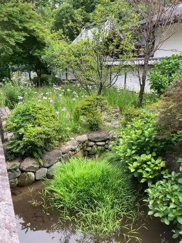 放光寺の庭園