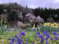 堂の下の岩観音の{uncategorized: "未分類", other: "その他", undefined: "問題あり", building: "その他建物", grave: "お墓", sacred_gate: "鳥居", guardian: "狛犬", statue: "像", buddha: "仏像", history: "歴史", nature: "自然", garden: "庭園", animal: "動物", pagoda: "塔", temizu: "手水舎", mountain_gate: "山門・神門", sanctuary: "本殿・本堂", subordinate: "末社・摂社", art: "芸術", scenery: "景色", jizo: "地蔵", ema: "絵馬", goshuin: "御朱印", omikuji: "おみくじ", items: "授与品その他", amulet: "お守り", goshuincho: "御朱印帳", eats: "食事", festival: "お祭り", votive_dance: "神楽", shichigosan: "七五三参", wedding: "結婚式", experience: "体験その他", initially: "初詣", around: "周辺", anti_infection: "感染症対策"}