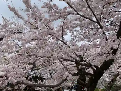 苦楽園口子安延命地蔵の自然