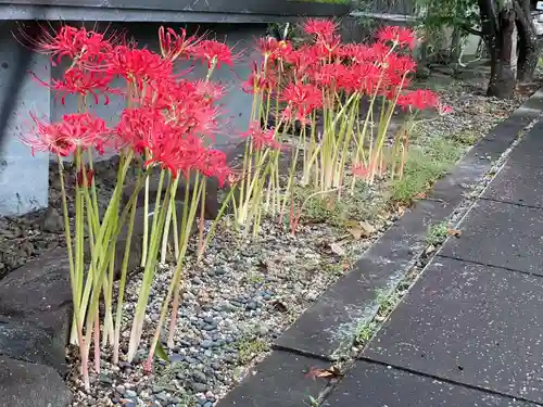 伊勢の国 四天王寺の自然