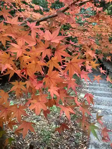 聖寳寺の庭園