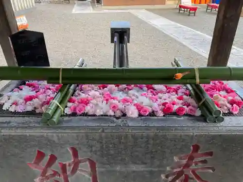 草加神社(埼玉県)