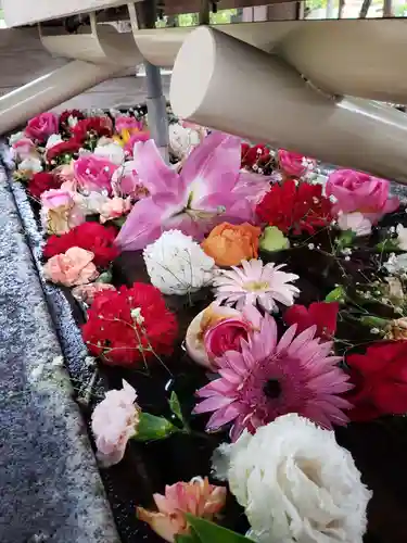 鳩森八幡神社(東京都)