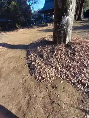 月讀神社(茨城県)