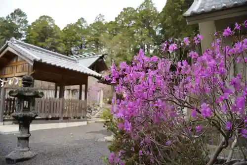 伊奈冨神社(三重県)