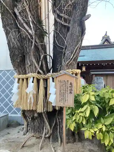 櫛田神社(福岡県)