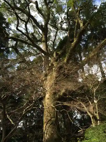 大興善寺(佐賀県)