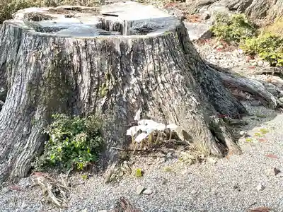 熊野神社(滋賀県)