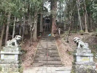 戸隠神社宝光社の狛犬