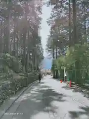 三峯神社の周辺