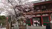 瀧泉寺(目黒不動尊)の山門・神門