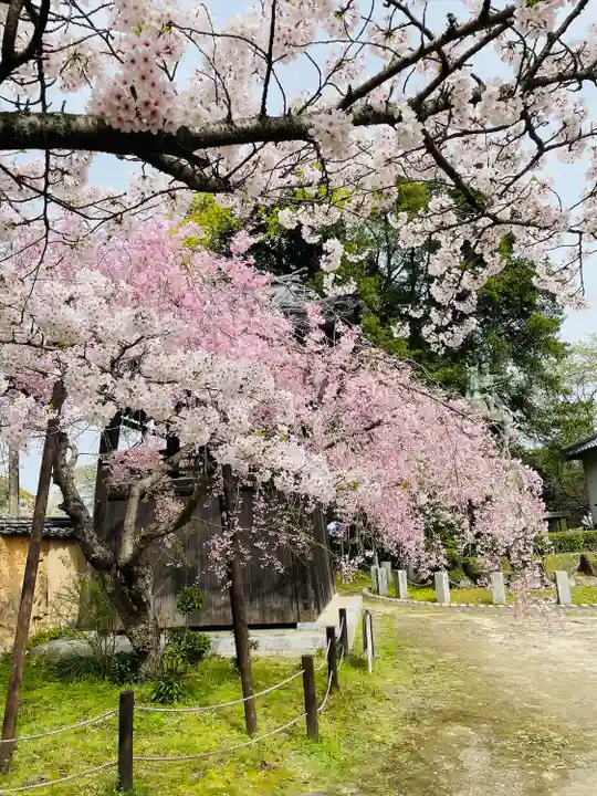 功山寺(山口県)