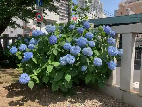 七倉稲荷神社(東京都)