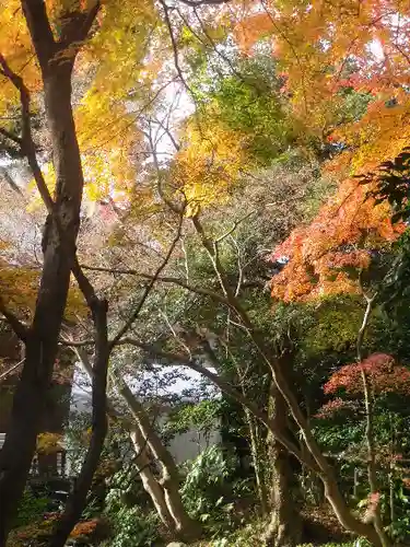 鶴岡八幡宮の庭園