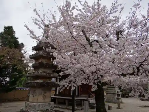 新薬師寺(奈良県)