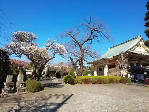 定方寺のその他建物