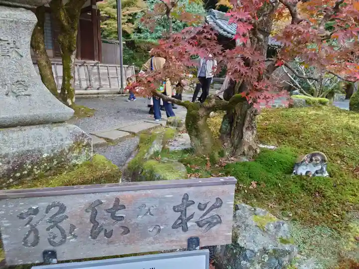 高徳庵 (最勝院)(京都府)