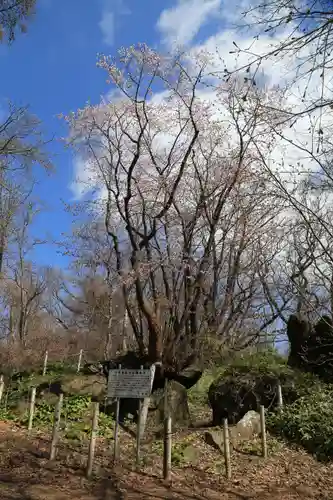 有珠善光寺の自然