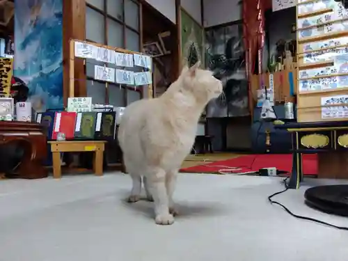 宗龍寺(愛知県)