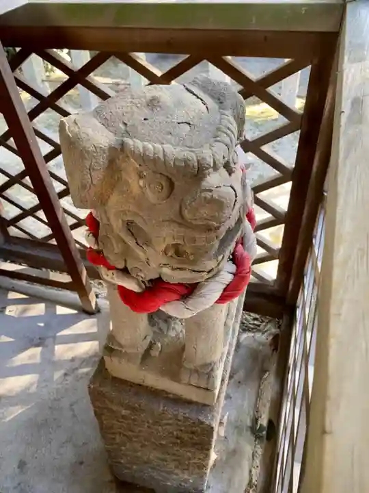 大藤神社の狛犬
