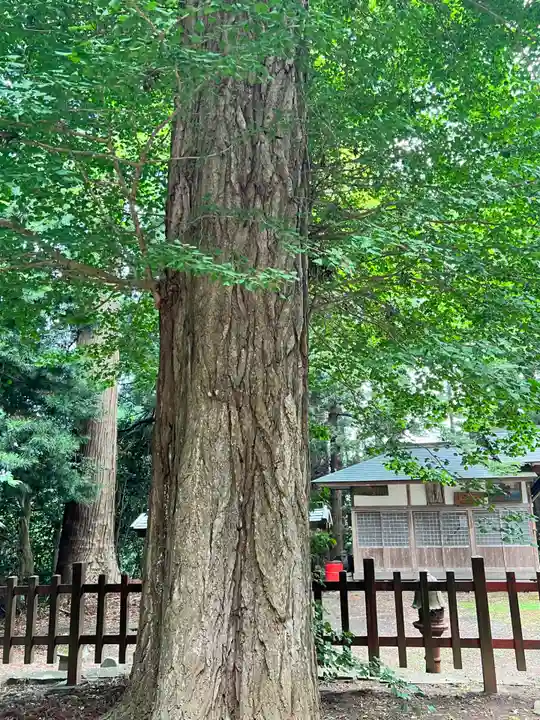 熊野神社(宮城県)