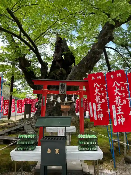 秩父今宮神社の{uncategorized: "未分類", other: "その他", undefined: "問題あり", building: "その他建物", grave: "お墓", sacred_gate: "鳥居", guardian: "狛犬", statue: "像", buddha: "仏像", history: "歴史", nature: "自然", garden: "庭園", animal: "動物", pagoda: "塔", temizu: "手水舎", mountain_gate: "山門・神門", sanctuary: "本殿・本堂", subordinate: "末社・摂社", art: "芸術", scenery: "景色", jizo: "地蔵", ema: "絵馬", goshuin: "御朱印", omikuji: "おみくじ", items: "授与品その他", amulet: "お守り", goshuincho: "御朱印帳", eats: "食事", festival: "お祭り", votive_dance: "神楽", shichigosan: "七五三参", wedding: "結婚式", experience: "体験その他", initially: "初詣", around: "周辺", anti_infection: "感染症対策"}