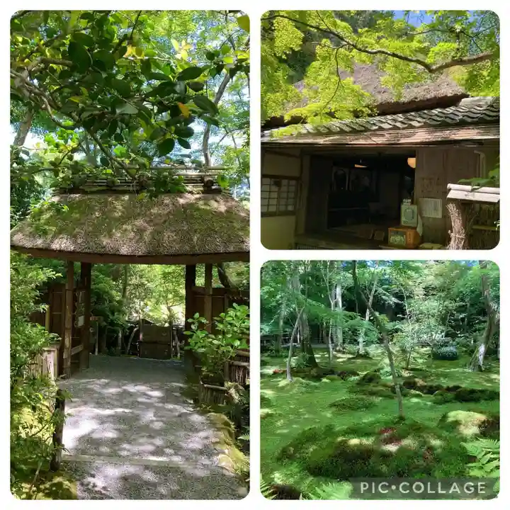 祇王寺(京都府)
