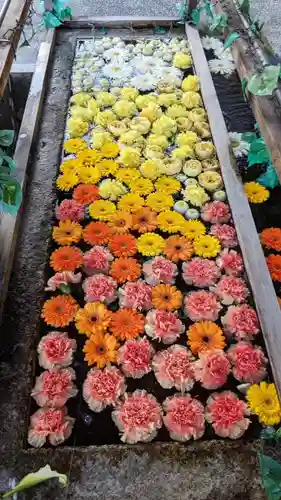 津島神社の手水舎