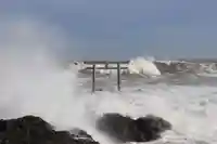 大洗磯前神社の自然