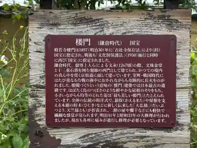 般若寺 ❁コスモス寺❁(奈良県)