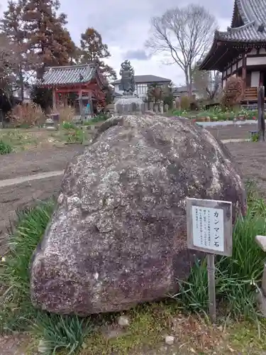 般若寺 ❁﻿コスモス寺❁(奈良県)