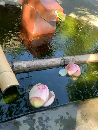 慈恩寺の手水舎