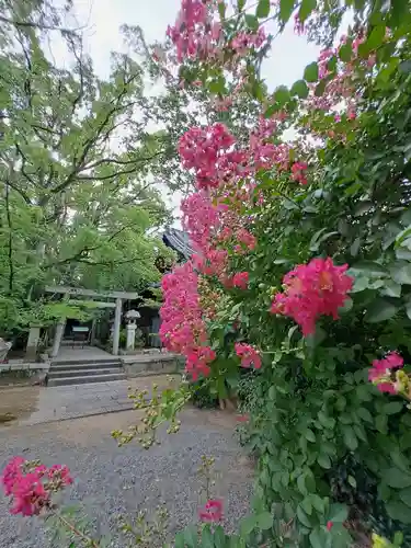 桑名宗社（春日神社）(三重県)