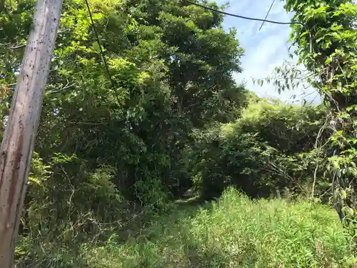 富士浅間神社の自然