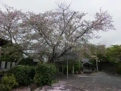 禮雲寺の自然