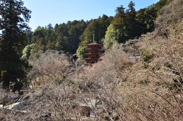 長谷寺(奈良県)
